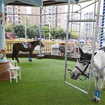 Merry-go-round powered by real ponies sparks outrage in China